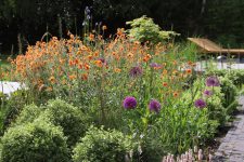 Garden-planting buckinghamshire